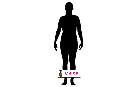 The Vase Body Shape